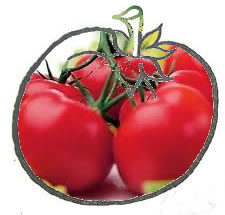 tomate